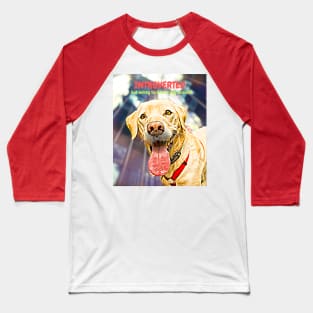 Introverted, but open to discussing dog biscuits Baseball T-Shirt